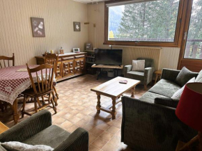 Spacieux 3 pièces, proche centre, animaux admis - FR-1-464-241